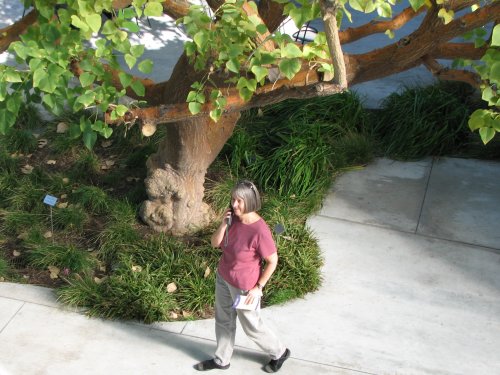 Walt Disney Concert Hall garden